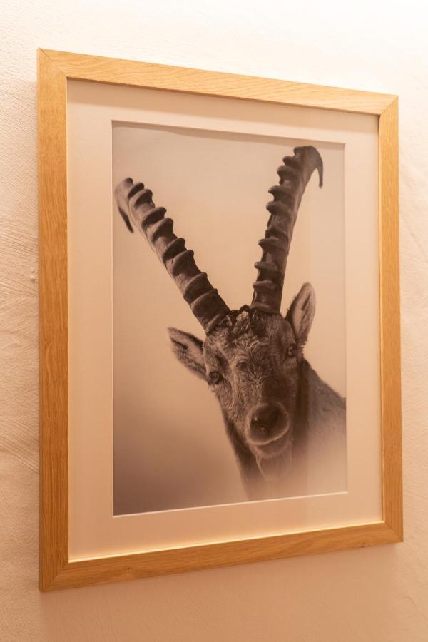 Hotel Les Chamois 3*